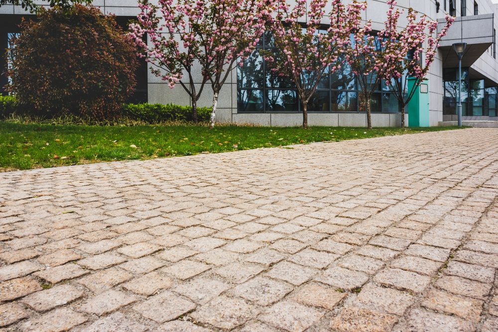 Resin driveway finished