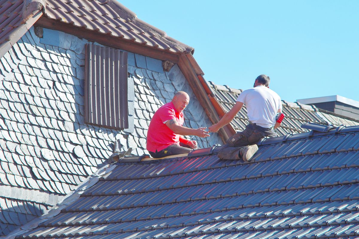 Slate or tile close-up